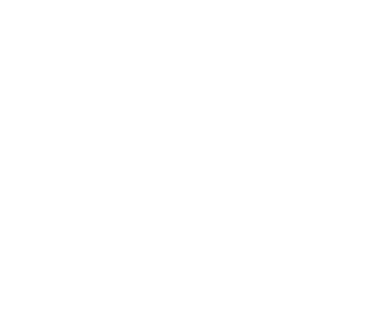 BIFA registered UK freight forwarder with expertise in import and export customs clearance